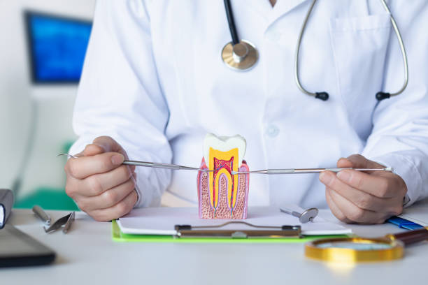 Best Emergency Gum Treatment in Kennett Square, PA